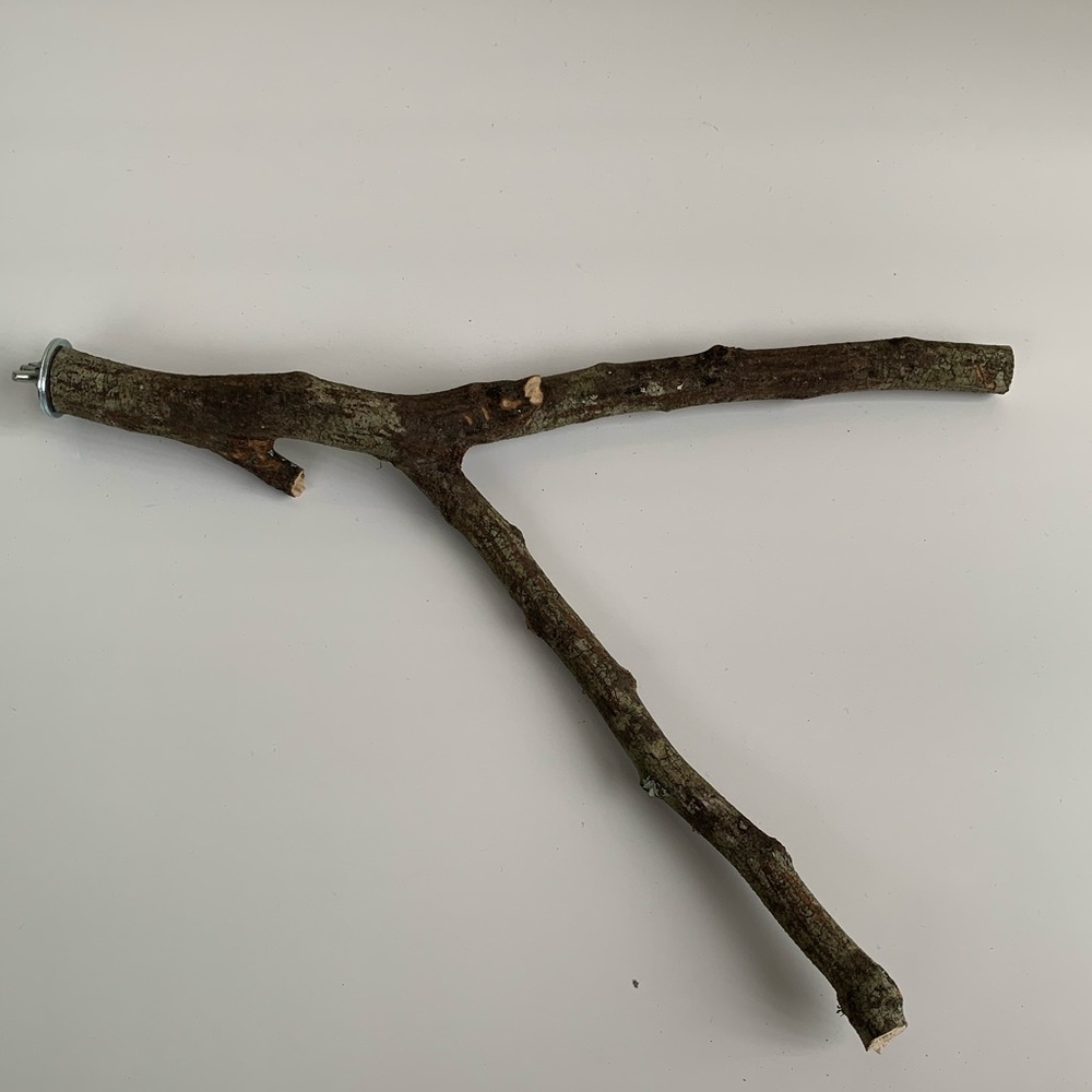 Bird perch for small birds